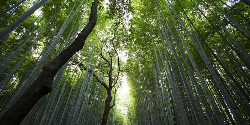 理清协同办公的基本面和关键变量